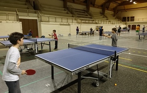 610969a15aa40_DSC0428.JPG